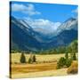 Rocky Mountains National Park Vista, Colorado,USA-Anna Miller-Stretched Canvas