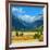 Rocky Mountains National Park Vista, Colorado,USA-Anna Miller-Framed Photographic Print