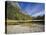 Rocky Mountains with Forest and Wilderness Near River, Bridger Teton National Forest, Wyoming, USA-Scott T. Smith-Stretched Canvas