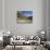 Rocky Mountains with Forest and Wilderness Near River, Bridger Teton National Forest, Wyoming, USA-Scott T. Smith-Photographic Print displayed on a wall