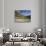 Rocky Mountains with Forest and Wilderness Near River, Bridger Teton National Forest, Wyoming, USA-Scott T. Smith-Photographic Print displayed on a wall