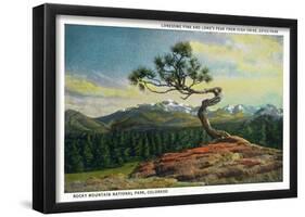 Rocky Mt. Nat'l Park, Colorado - High Drive Lonesome Pine View of Long's Peak-null-Framed Poster