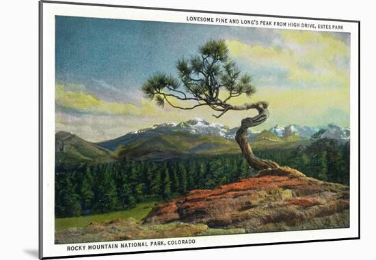 Rocky Mt. Nat'l Park, Colorado - High Drive Lonesome Pine View of Long's Peak-null-Mounted Poster
