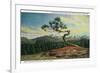 Rocky Mt. Nat'l Park, Colorado - High Drive Lonesome Pine View of Long's Peak-Lantern Press-Framed Art Print