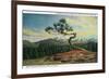 Rocky Mt. Nat'l Park, Colorado - High Drive Lonesome Pine View of Long's Peak-Lantern Press-Framed Art Print