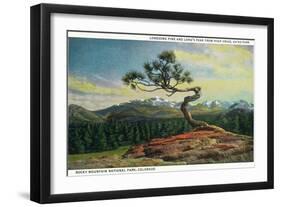 Rocky Mt. Nat'l Park, Colorado - High Drive Lonesome Pine View of Long's Peak-Lantern Press-Framed Art Print