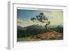 Rocky Mt. Nat'l Park, Colorado - High Drive Lonesome Pine View of Long's Peak-Lantern Press-Framed Art Print