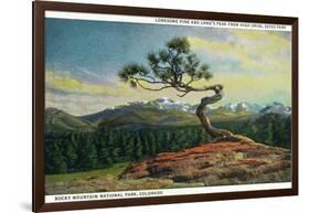 Rocky Mt. Nat'l Park, Colorado - High Drive Lonesome Pine View of Long's Peak-Lantern Press-Framed Art Print