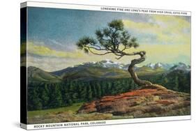 Rocky Mt. Nat'l Park, Colorado - High Drive Lonesome Pine View of Long's Peak-Lantern Press-Stretched Canvas