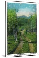 Rocky Mt. Nat'l Park, Colorado - Scenic View Down Longs Peak Trail-Lantern Press-Mounted Art Print