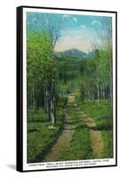 Rocky Mt. Nat'l Park, Colorado - Scenic View Down Longs Peak Trail-Lantern Press-Framed Stretched Canvas