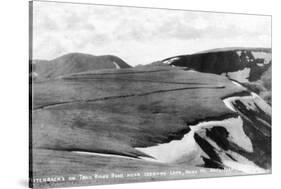 Rocky Mt Nat'l Park, Colorado - Trail Ridge Road Switchbacks near Iceberg Lake-Lantern Press-Stretched Canvas