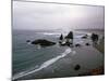 Rocky Oregon Coast-Carol Highsmith-Mounted Photo