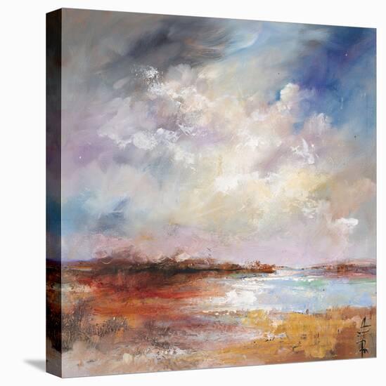 Rocky Outcrop-Anne Farrall Doyle-Stretched Canvas