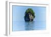 Rocky Outcrops in the Bacuit Archipelago, Palawan, Philippines-Michael Runkel-Framed Photographic Print