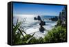 Rocky Outcrops in the Ocean Along the Road Between Greymouth and Westport, West Coast, South Island-Michael Runkel-Framed Stretched Canvas