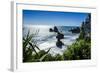 Rocky Outcrops in the Ocean Along the Road Between Greymouth and Westport, West Coast, South Island-Michael Runkel-Framed Photographic Print