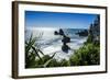Rocky Outcrops in the Ocean Along the Road Between Greymouth and Westport, West Coast, South Island-Michael Runkel-Framed Photographic Print