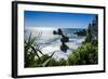 Rocky Outcrops in the Ocean Along the Road Between Greymouth and Westport, West Coast, South Island-Michael Runkel-Framed Photographic Print