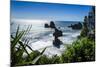 Rocky Outcrops in the Ocean Along the Road Between Greymouth and Westport, West Coast, South Island-Michael Runkel-Mounted Photographic Print