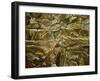 Rocky Realm-Hyunah Kim-Framed Art Print