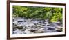 Rocky River in Lush Forest, New Jersey-George Oze-Framed Photographic Print