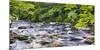 Rocky River in Lush Forest, New Jersey-George Oze-Mounted Photographic Print