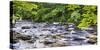 Rocky River in Lush Forest, New Jersey-George Oze-Stretched Canvas