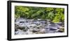 Rocky River in Lush Forest, New Jersey-George Oze-Framed Photographic Print