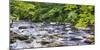 Rocky River in Lush Forest, New Jersey-George Oze-Mounted Photographic Print