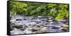 Rocky River in Lush Forest, New Jersey-George Oze-Framed Stretched Canvas