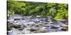 Rocky River in Lush Forest, New Jersey-George Oze-Stretched Canvas