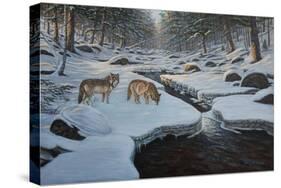 Rocky River Wolves-Bruce Dumas-Stretched Canvas