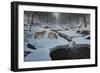 Rocky River Wolves-Bruce Dumas-Framed Giclee Print