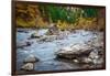 Rocky River-Michael Broom-Framed Photographic Print