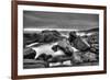 Rocky Seascape Monochrome-Otto du Plessis-Framed Photographic Print
