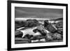 Rocky Seascape Monochrome-Otto du Plessis-Framed Photographic Print