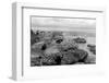 Rocky Seashore View in Black and White-StanciuC-Framed Photographic Print