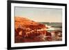 Rocky Shore, 1862-William Stanley Haseltine-Framed Giclee Print