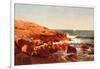 Rocky Shore, 1862-William Stanley Haseltine-Framed Giclee Print