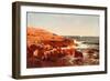 Rocky Shore, 1862-William Stanley Haseltine-Framed Giclee Print