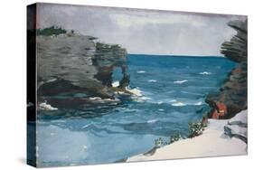 Rocky Shore, 1900-Winslow Homer-Stretched Canvas