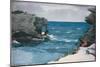 Rocky Shore, 1900-Winslow Homer-Mounted Premium Giclee Print
