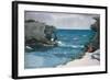 Rocky Shore, 1900-Winslow Homer-Framed Giclee Print