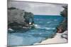 Rocky Shore, 1900-Winslow Homer-Mounted Giclee Print