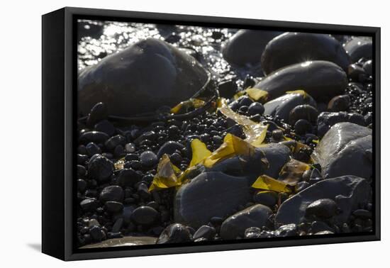 Rocky Shore I-Rita Crane-Framed Stretched Canvas