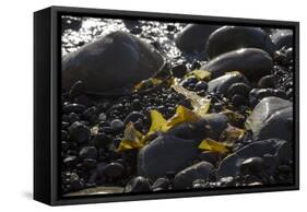 Rocky Shore I-Rita Crane-Framed Stretched Canvas