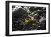 Rocky Shore I-Rita Crane-Framed Photographic Print