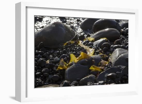 Rocky Shore I-Rita Crane-Framed Photographic Print