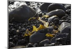 Rocky Shore I-Rita Crane-Mounted Photographic Print